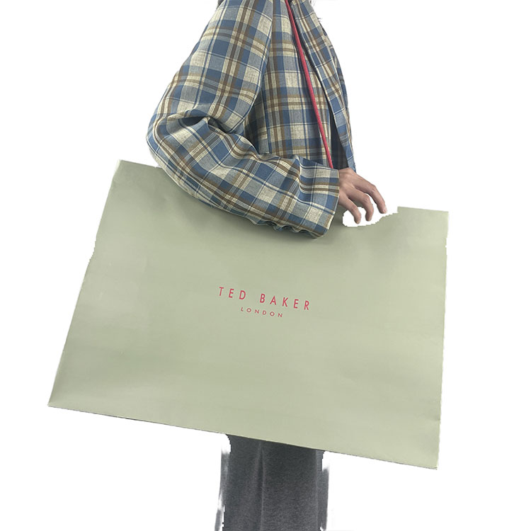 Daily Use Shopping Paper Bag