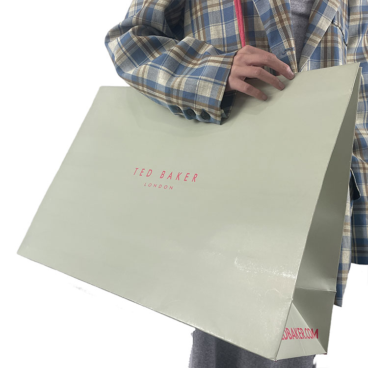 Daily Use Shopping Paper Bag
