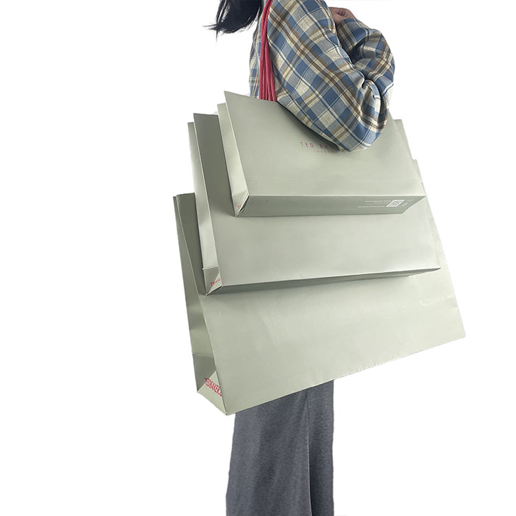 Daily Use Shopping Paper Bag