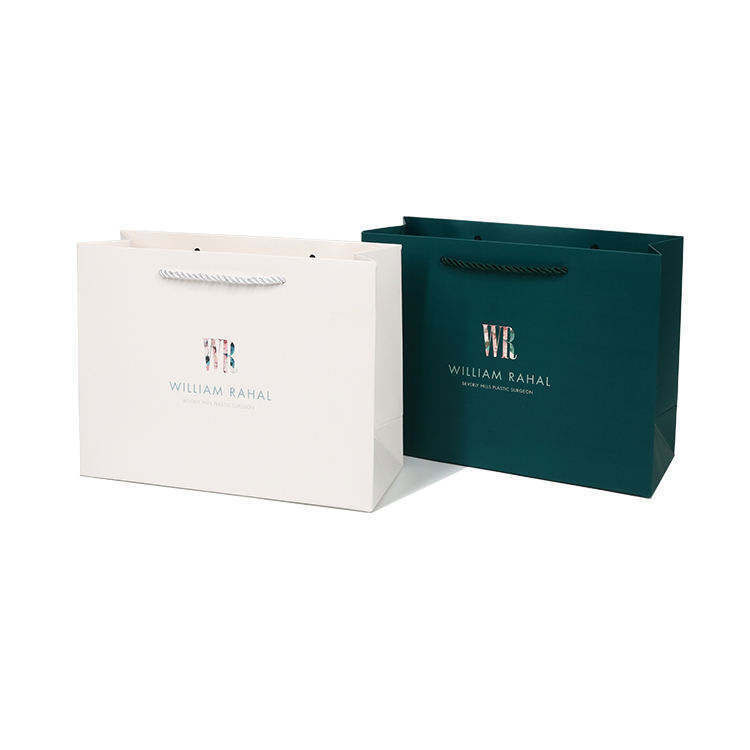 Holiday Gift Paper Bag