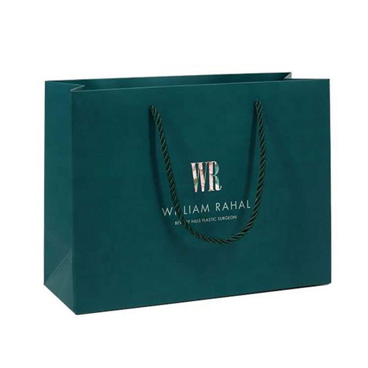 Holiday Gift Paper Bag